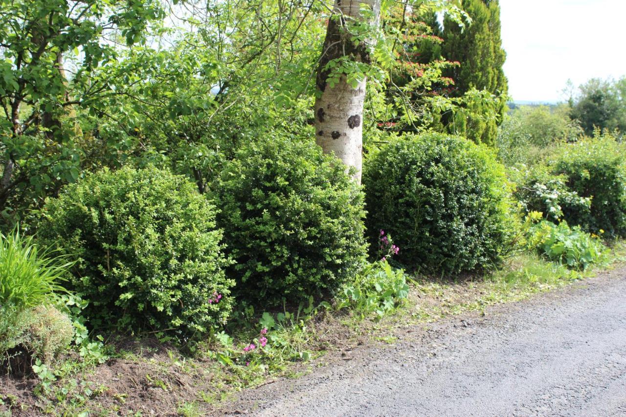 Ketty'S Cottage Rosslea Dış mekan fotoğraf